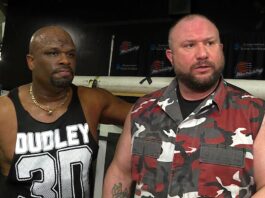 D-Von Dudley no longer with WWE