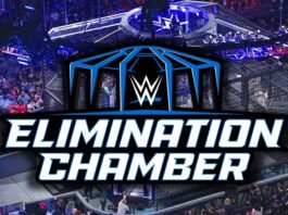 Former WWE Superstar Spotted Backstage at Elimination Chamber Event