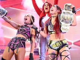 Uncertainty Looms Over the Future of WWE Stable
