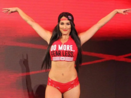 Nikki Bella Expresses Her Desire to Make a Comeback to Wrestling