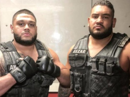Are AOP Attempting to Make a Comeback to WWE?