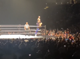 Cody Rhodes Issues a Challenge to Roman Reigns & Brock Lesnar at WWE Live Event