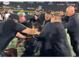 Don Callis Assaulted by Fan After Triplemania XXXI, Heading to San Diego for Medical Treatment