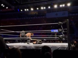 Sami Zayn's Heartfelt Gesture to Fan at WWE Event Captures Hearts
