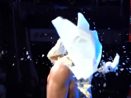 Steve Aoki's Cake-Throwing Cameo at WWE Live in Boston