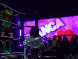 Bianca Belair's Style Stolen by Dakota Kai at WWE Event