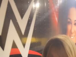 Lilian Garcia Makes a Surprise Return to WWE RAW